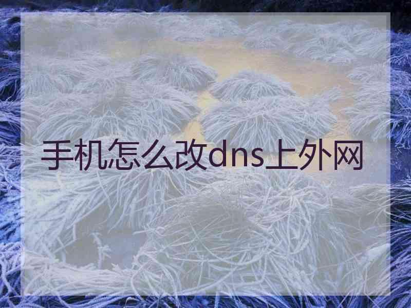 手机怎么改dns上外网