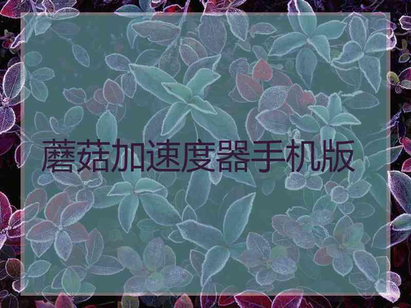 蘑菇加速度器手机版