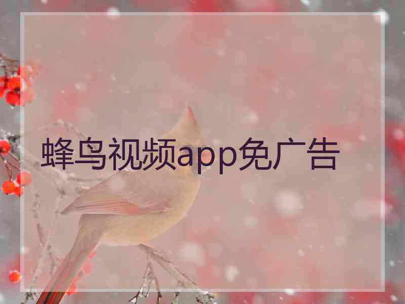 蜂鸟视频app免广告