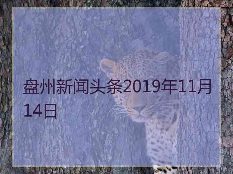 盘州新闻头条2019年11月14日