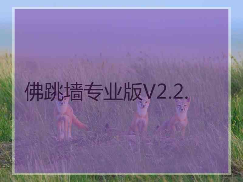 佛跳墙专业版V2.2.