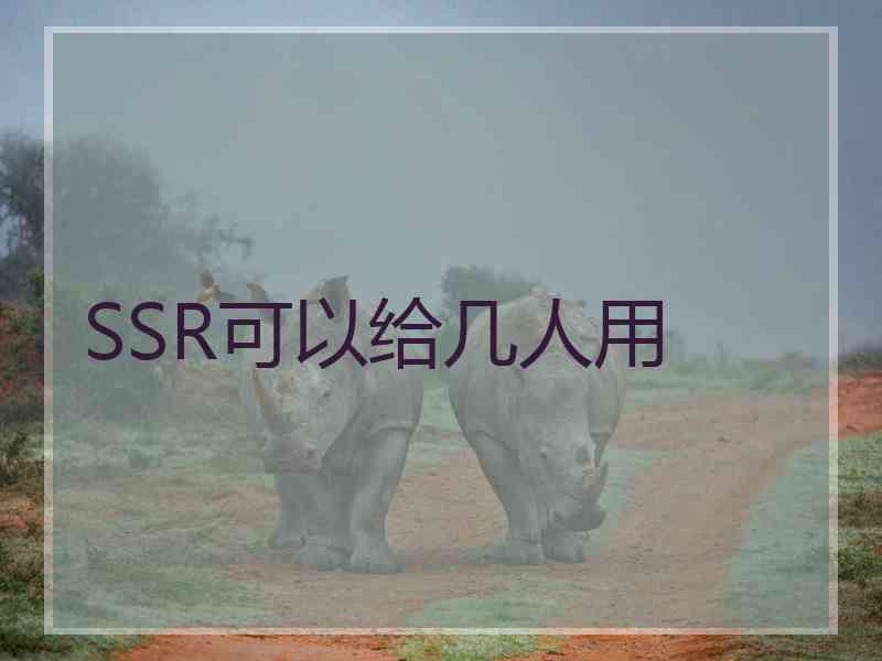 SSR可以给几人用