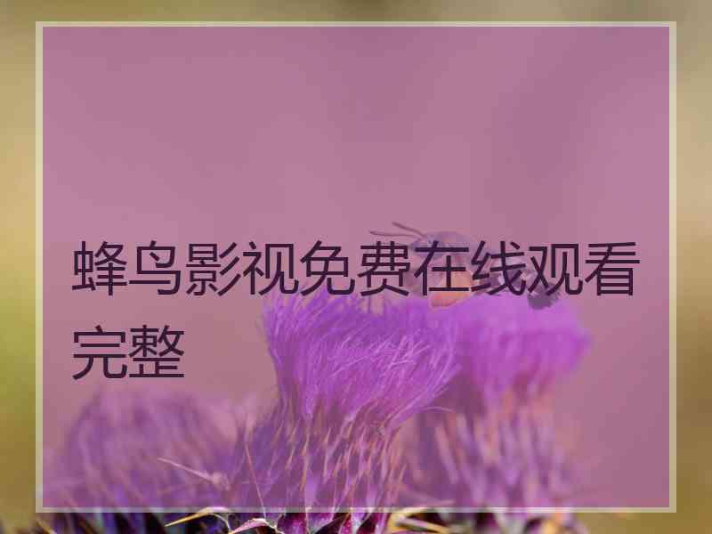 蜂鸟影视免费在线观看完整