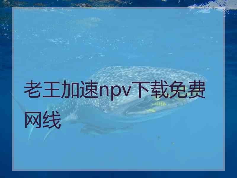 老王加速npv下载免费网线