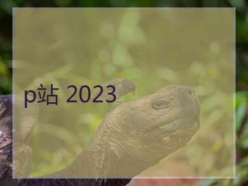 p站 2023