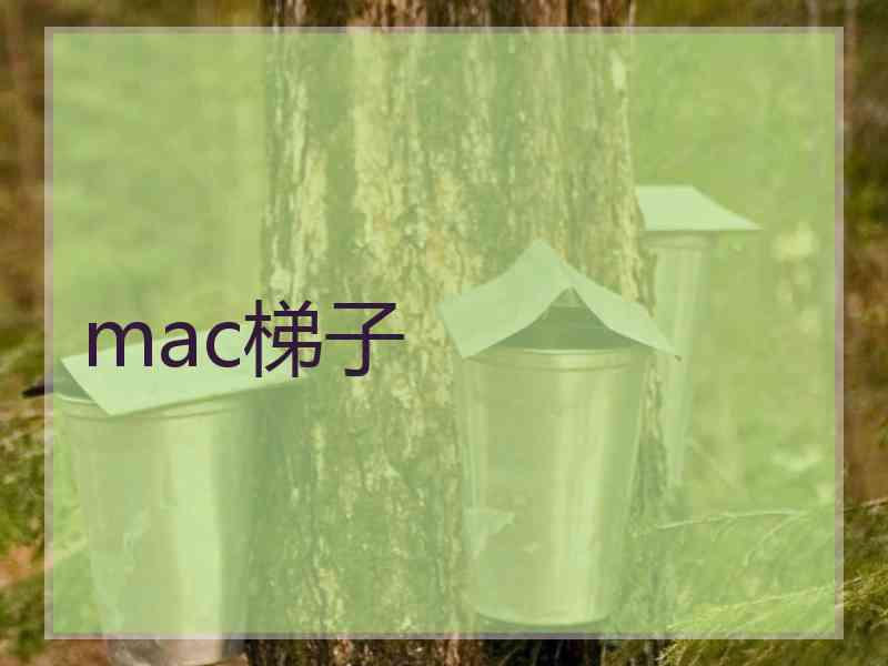 mac梯子