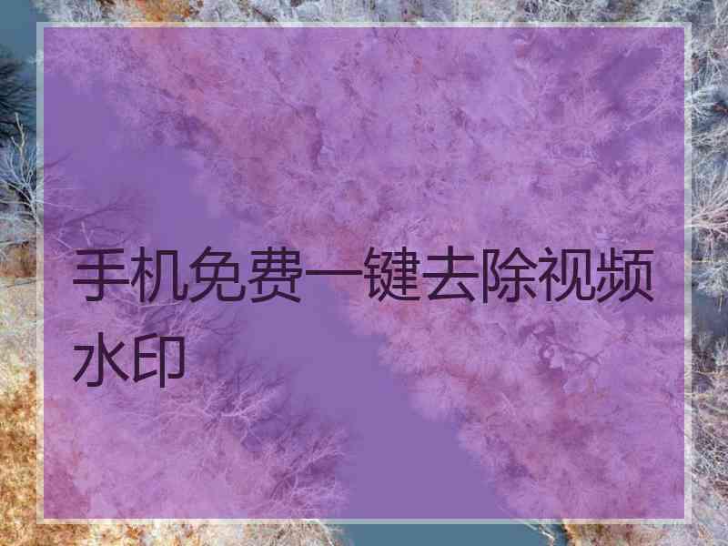 手机免费一键去除视频水印