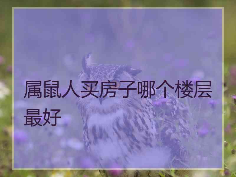 属鼠人买房子哪个楼层最好