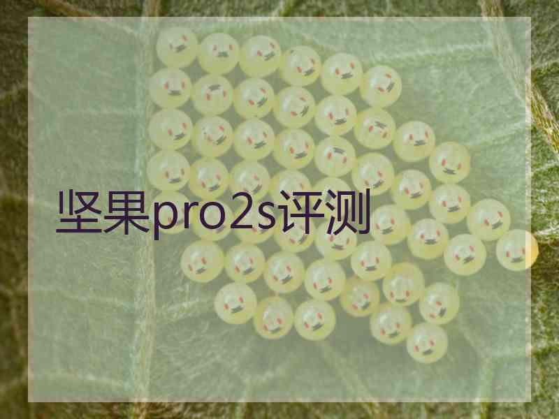 坚果pro2s评测