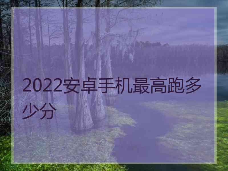 2022安卓手机最高跑多少分