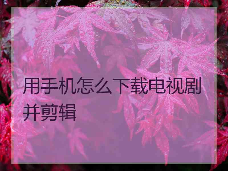 用手机怎么下载电视剧并剪辑