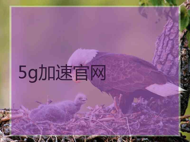 5g加速官网