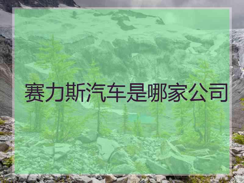 赛力斯汽车是哪家公司