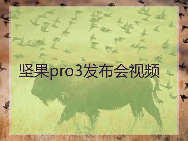 坚果pro3发布会视频