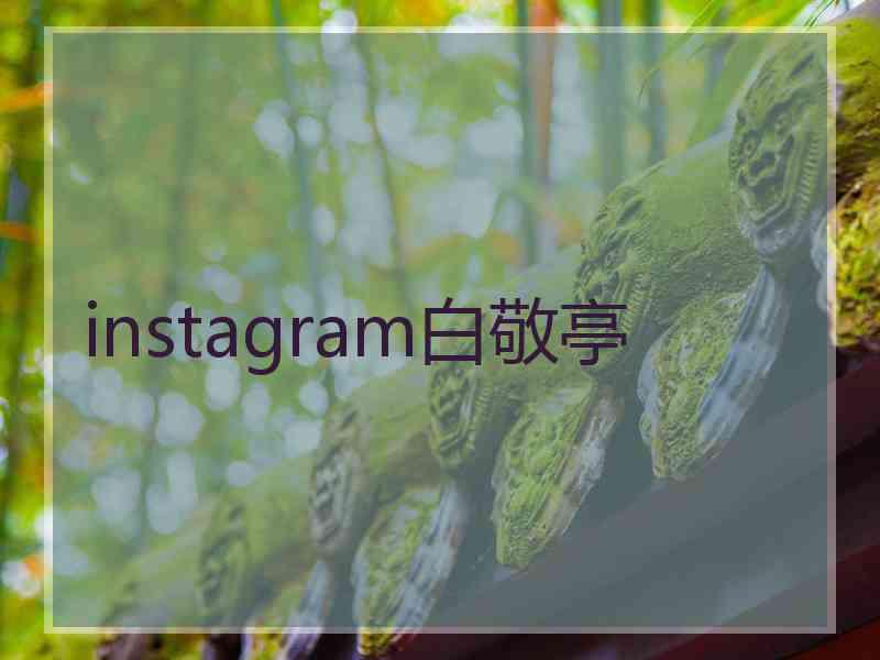 instagram白敬亭