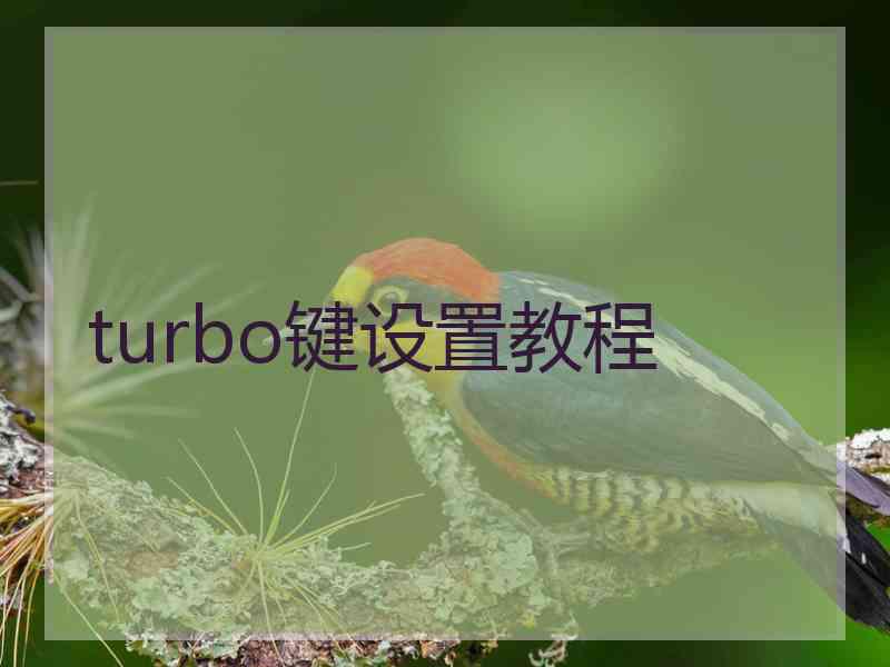 turbo键设置教程