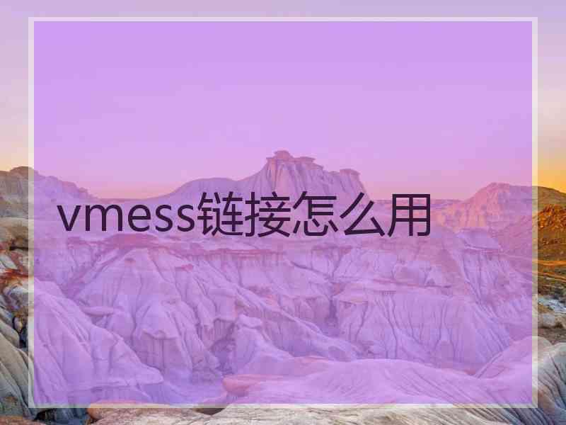 vmess链接怎么用