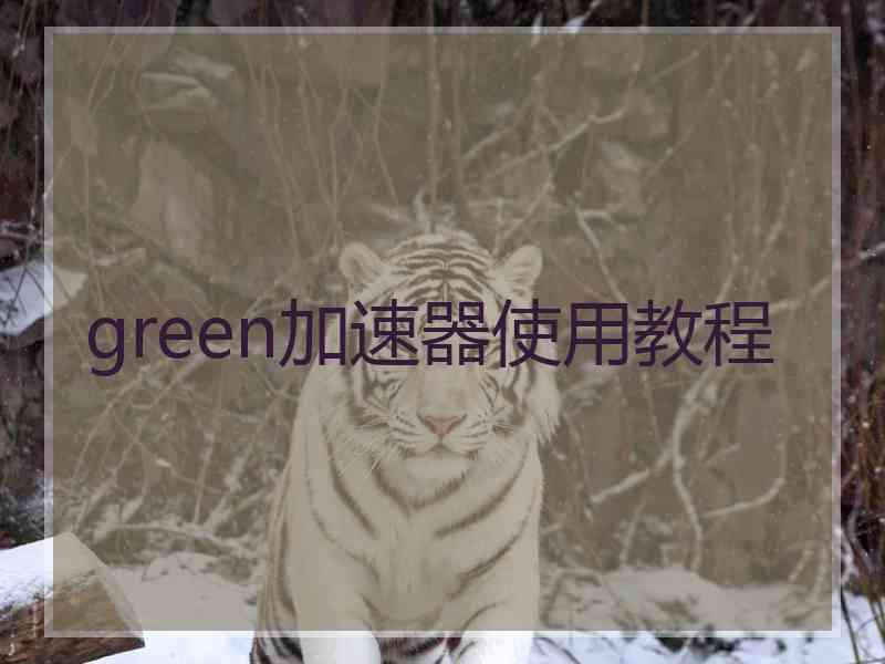 green加速器使用教程