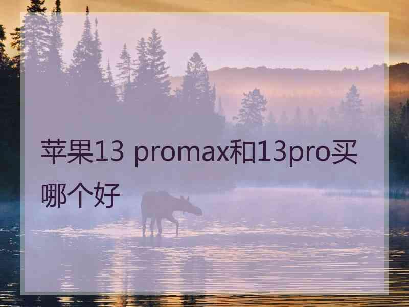 苹果13 promax和13pro买哪个好