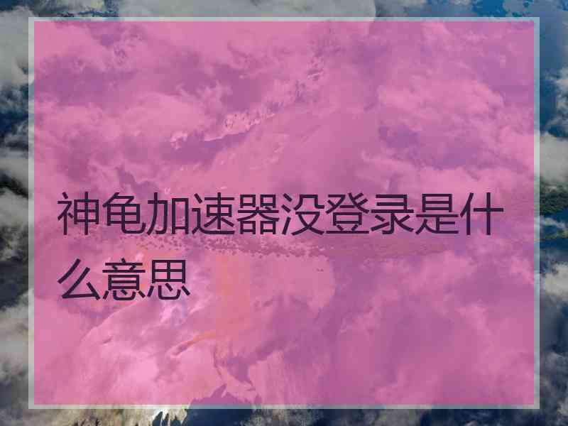 神龟加速器没登录是什么意思