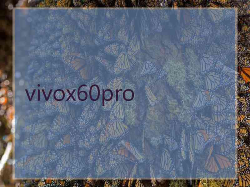 vivox60pro