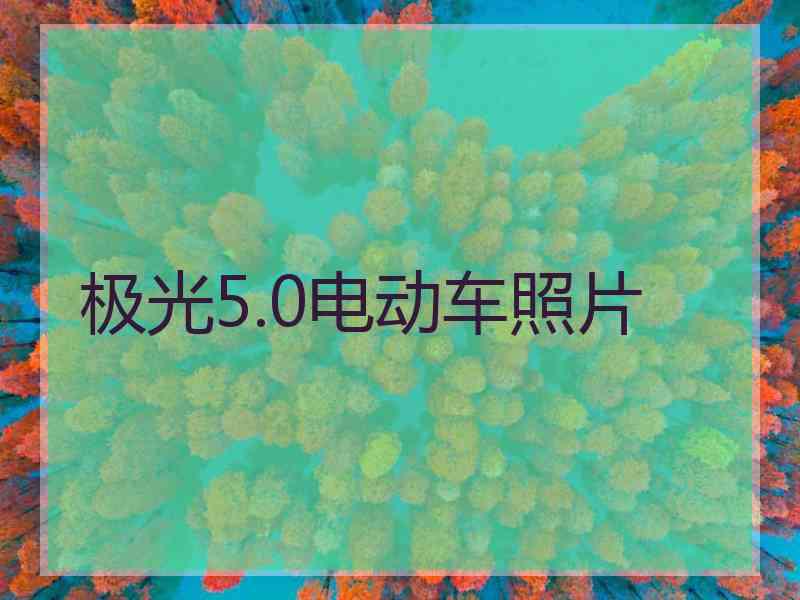 极光5.0电动车照片