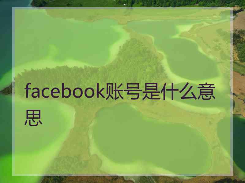 facebook账号是什么意思