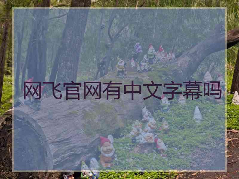 网飞官网有中文字幕吗