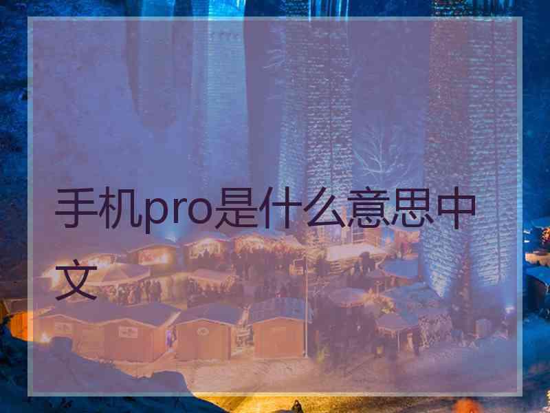 手机pro是什么意思中文