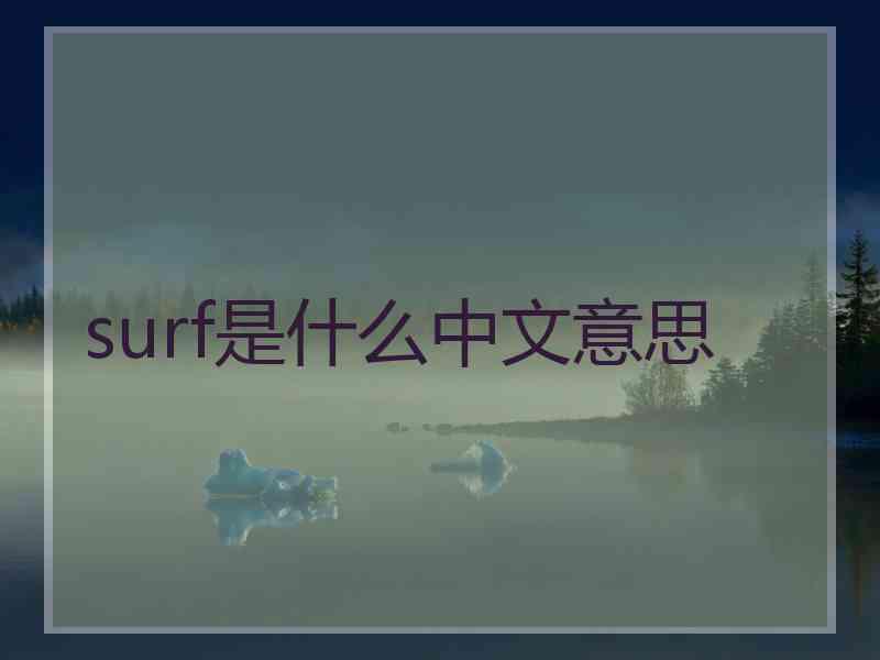 surf是什么中文意思