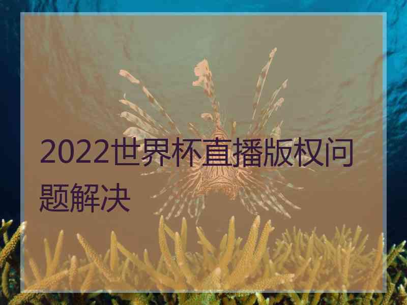 2022世界杯直播版权问题解决