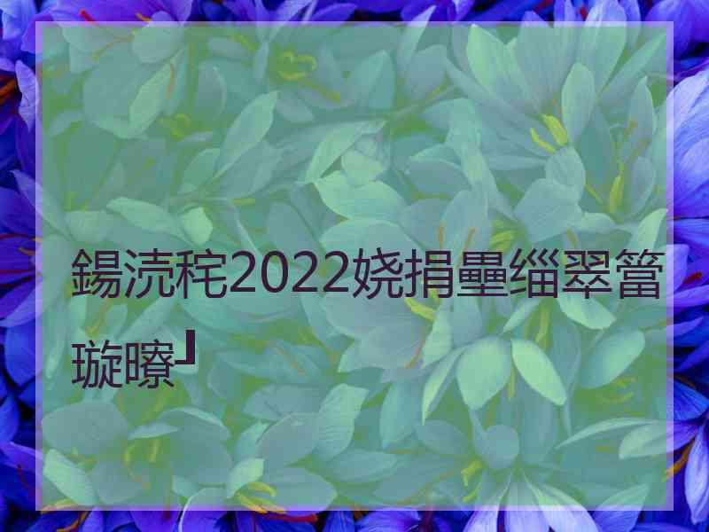 鍚涜秺2022娆捐壘缁翠簹璇曢┚