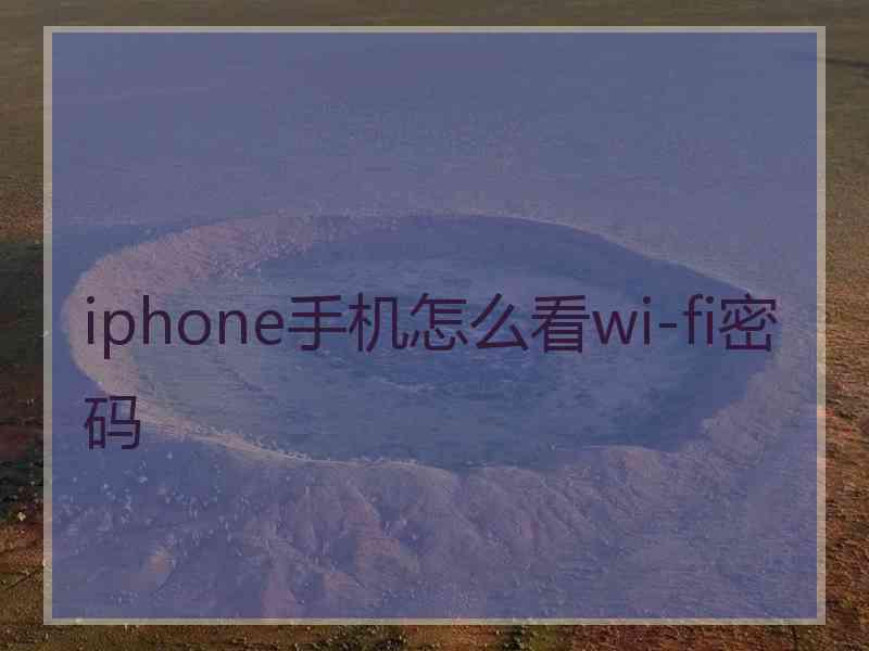 iphone手机怎么看wi-fi密码