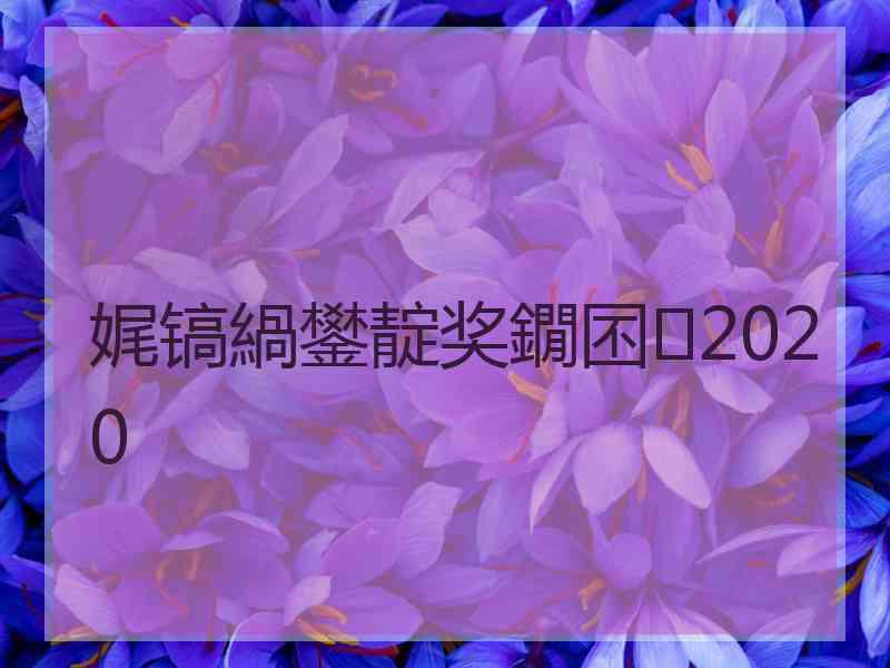 娓镐緺鐢靛奖鐗囨2020