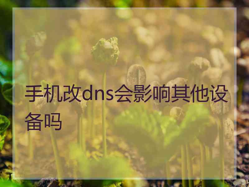 手机改dns会影响其他设备吗