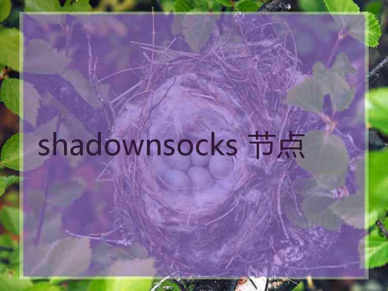 shadownsocks 节点