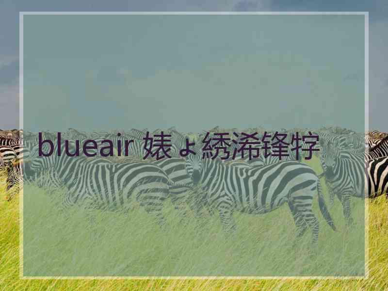 blueair 婊ょ綉浠锋牸