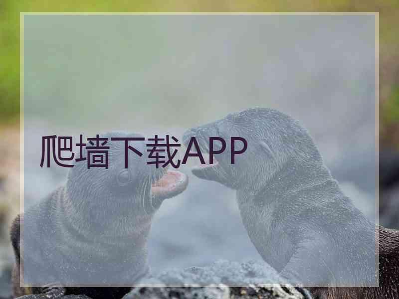 爬墙下载APP