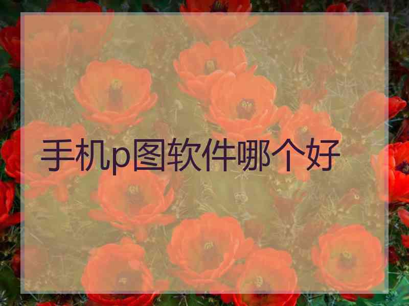 手机p图软件哪个好