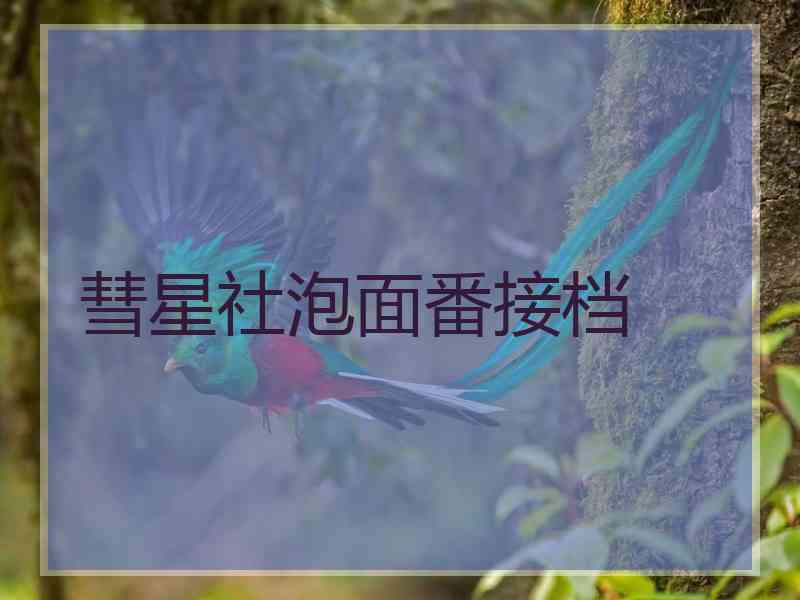 彗星社泡面番接档