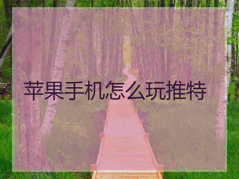 苹果手机怎么玩推特