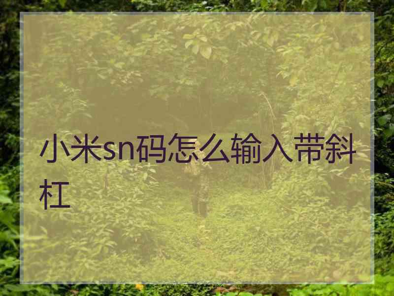 小米sn码怎么输入带斜杠