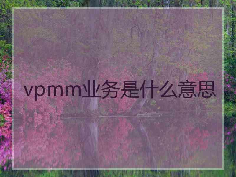 vpmm业务是什么意思