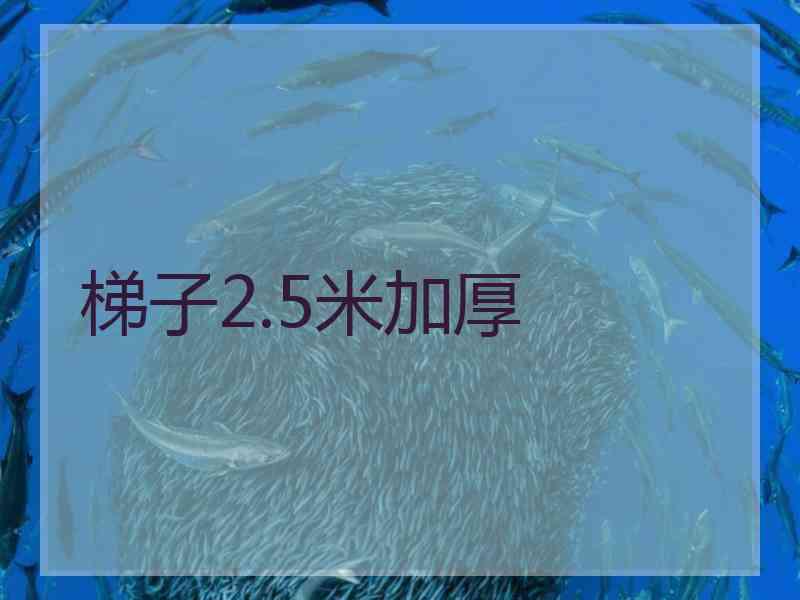 梯子2.5米加厚