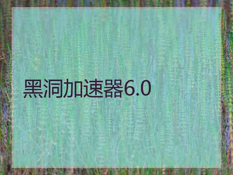 黑洞加速器6.0