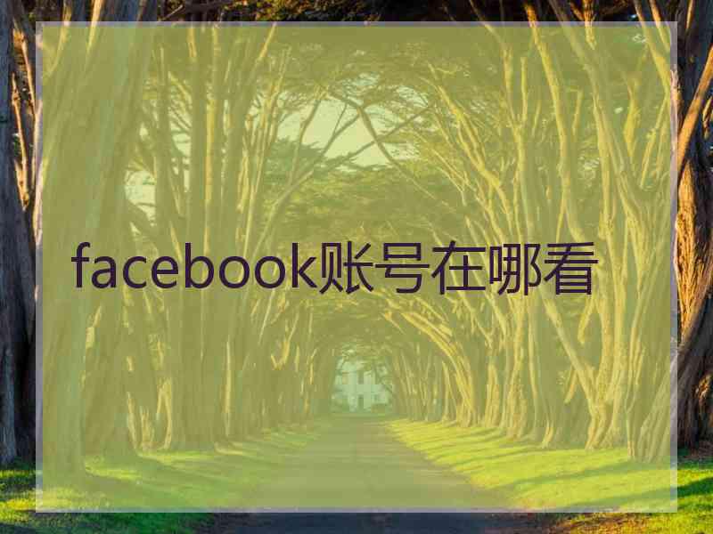 facebook账号在哪看