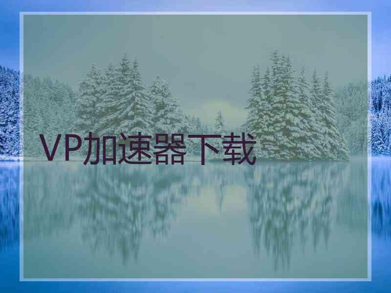 VP加速器下载