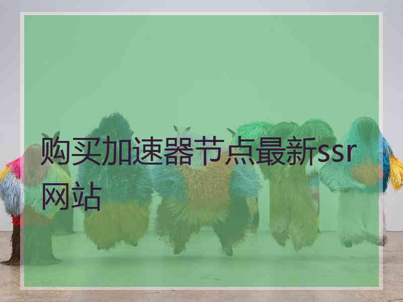 购买加速器节点最新ssr网站