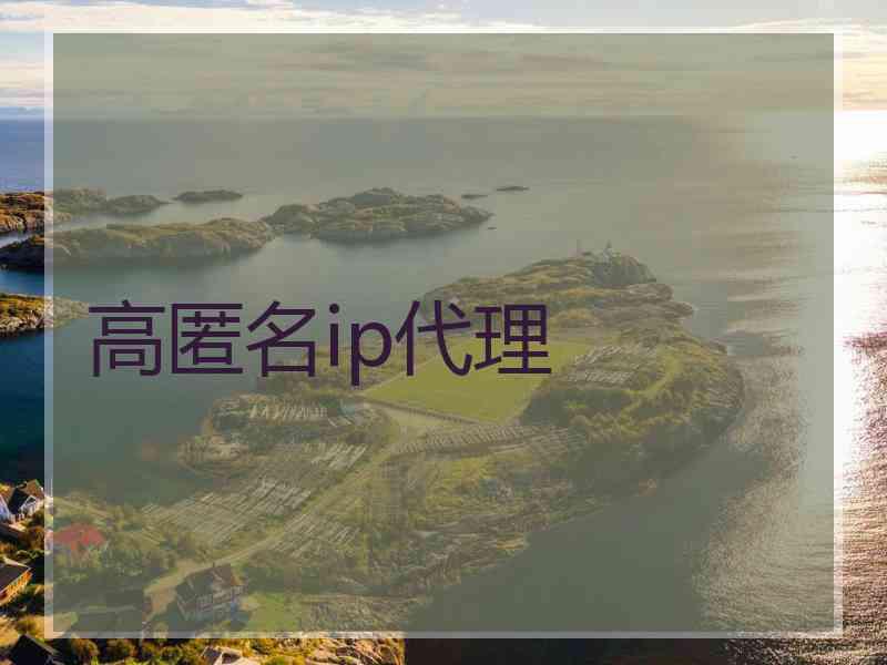 高匿名ip代理