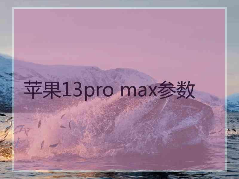 苹果13pro max参数